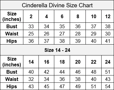 Long Off Shoulder Fitted Dress by Cinderella Divine KV1050